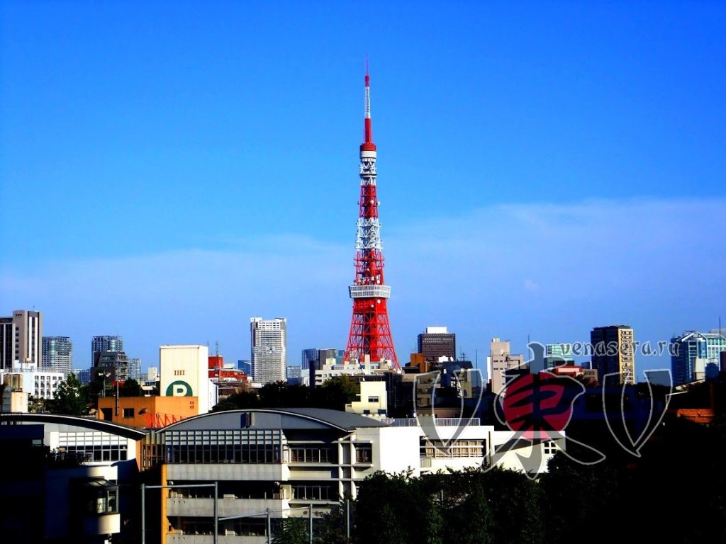 Вид на Токийскую башню. Роппонги Хиллз.