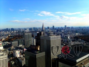 Токийская мэрия. Вид на Токио.